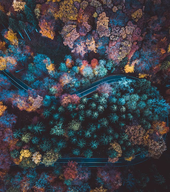 Colourful wilderness